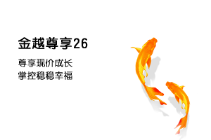 金越尊享26