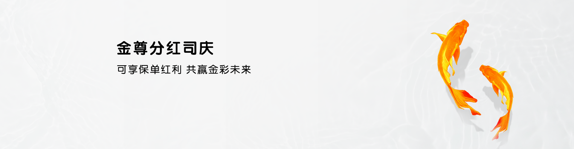 金尊分红司庆
