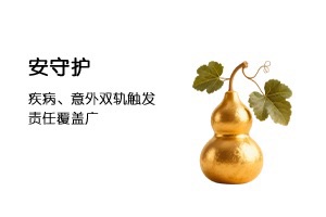 安守护